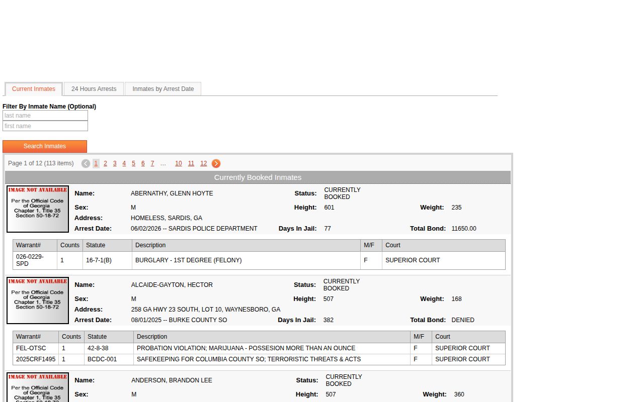 Burke County Jail current roster search interface