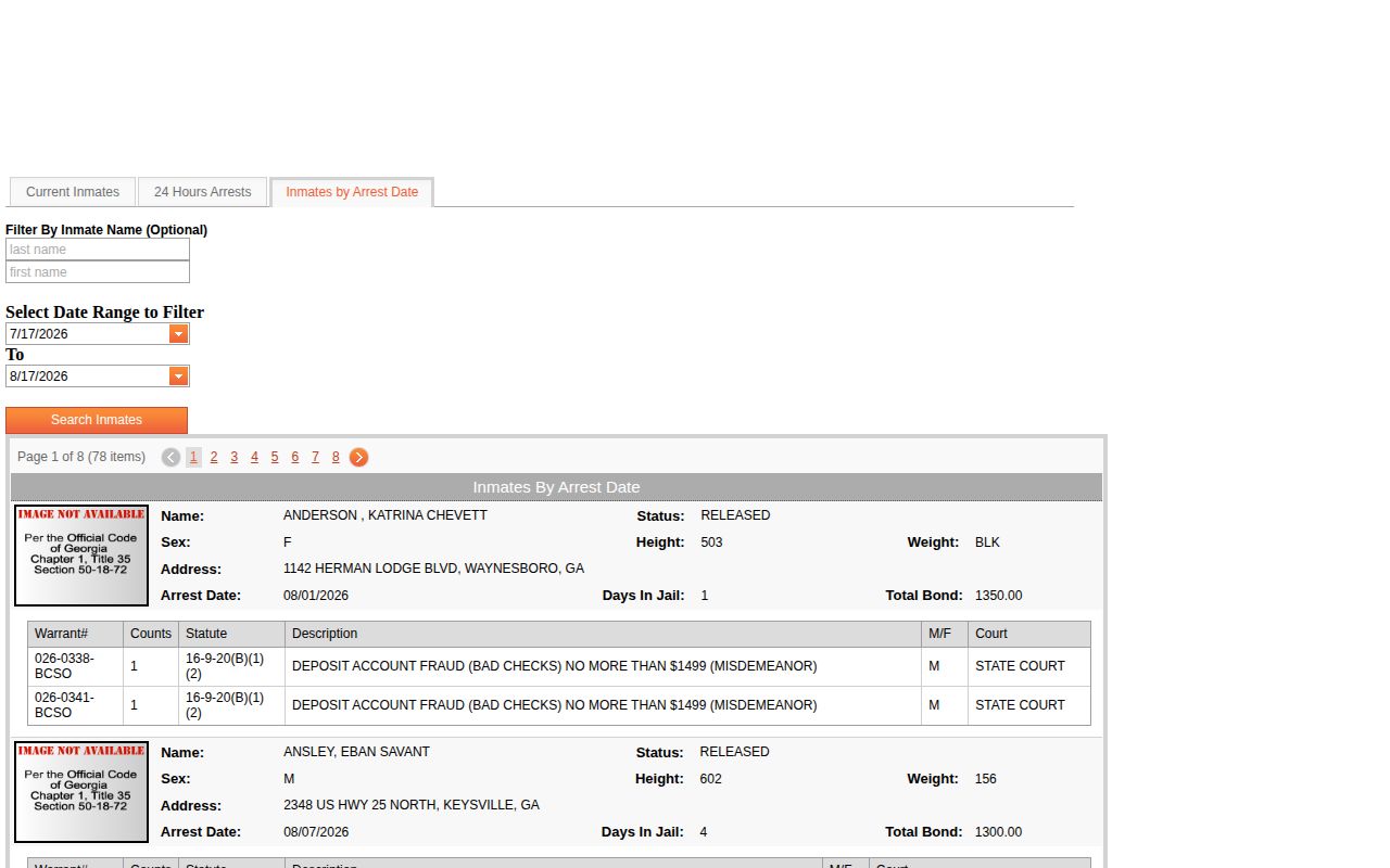 Burke County custom arrest-date booking search interface